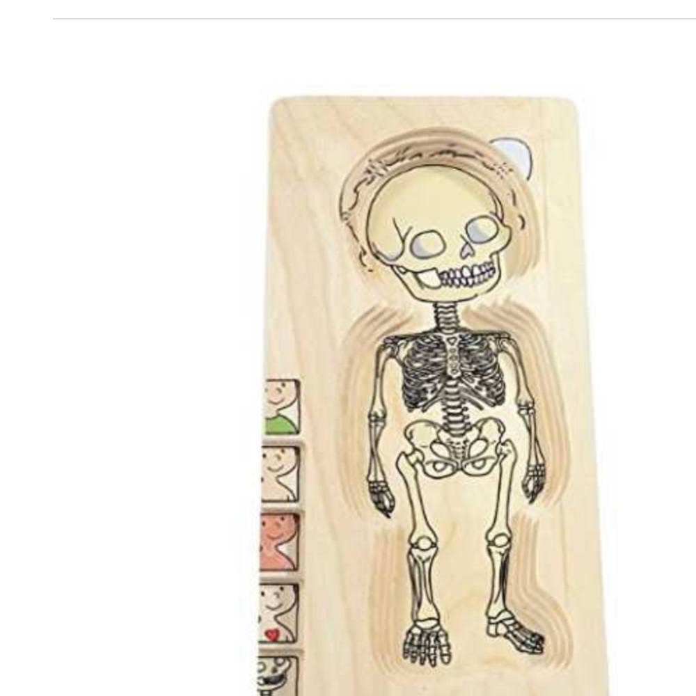 New Hape by Beleduc 5-Layer wooden Body Puzzle - Picture 7 of 11
